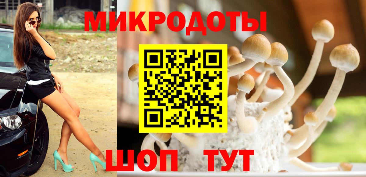 цена   Вход с VPN  Гагарин  Галлюциногенные грибы MAGIC MUSHROOMS 